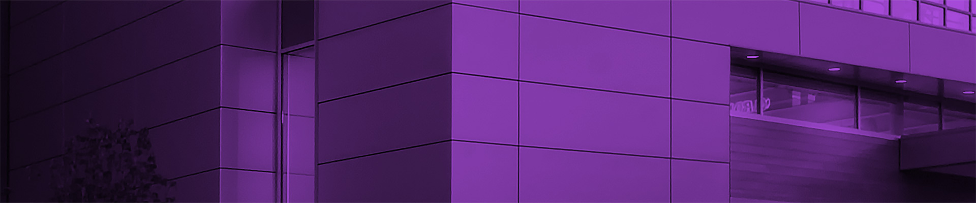 &nbsp;